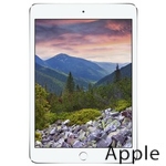 Ремонт Apple iPad mini 3 в Томске