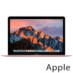 Ремонт Apple MacBook Mid в Томске